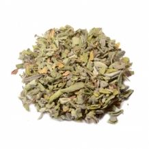 Salvia officinalis -  Echte Salie